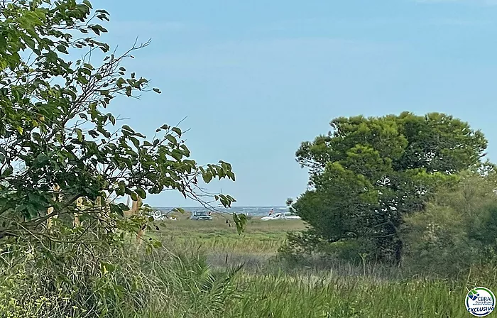 Estudio en zona natural de ensueño, sobre la zona natural de la playa de la Rubina de Empuriabrava