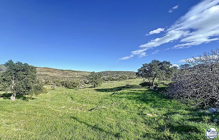 À VENDRE - APPARTEMENT RÉNOVÉ AVEC TERRASSE ET VUE SUR LE PARC NATUREL - ROSES, COSTA BRAVA