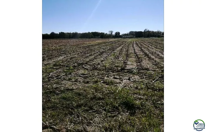 Amplio terreno agrícola en venta Castello d'Empuries