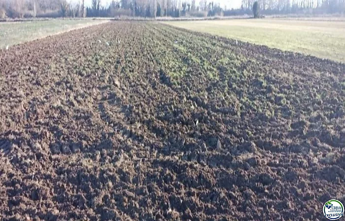 Amplio terreno agrícola en venta Castello d'Empuries