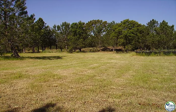 Terreno Rustico de 18000 m en Garriguella