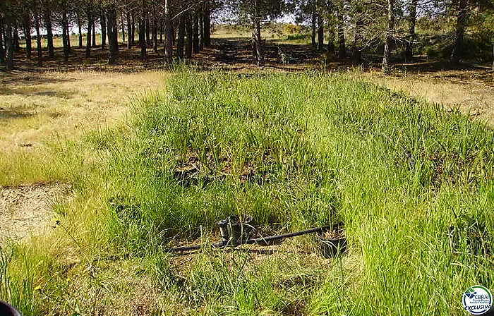 Terreno Rustico de 18000 m en Garriguella