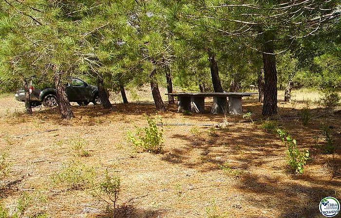 Terreno Rustico de 18000 m en Garriguella