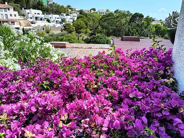 Preciosa casa en el barrio Almadrava de Rosas