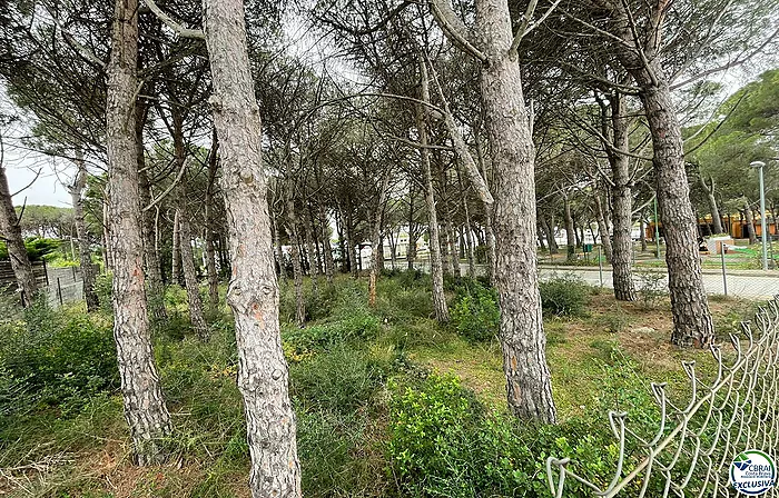 Beau terrain de 468 m2 à trois vents pour construire une maison de 250 m2 dans une urbanisation avec toutes les infrastructures d'égouts construites i